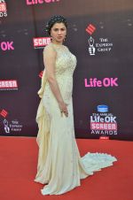 Kainaat Arora at Life Ok Screen Awards red carpet in Mumbai on 14th Jan 2015